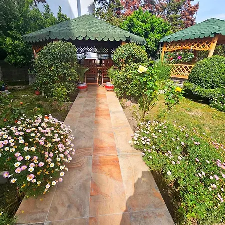 Beauty Day * Dıraç