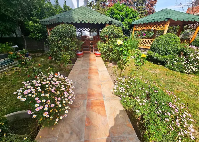 Beauty Day * Dıraç