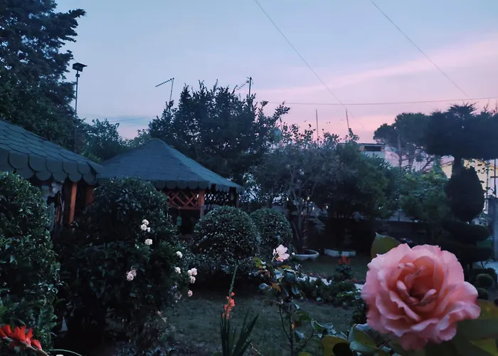 Beauty Day * Dıraç